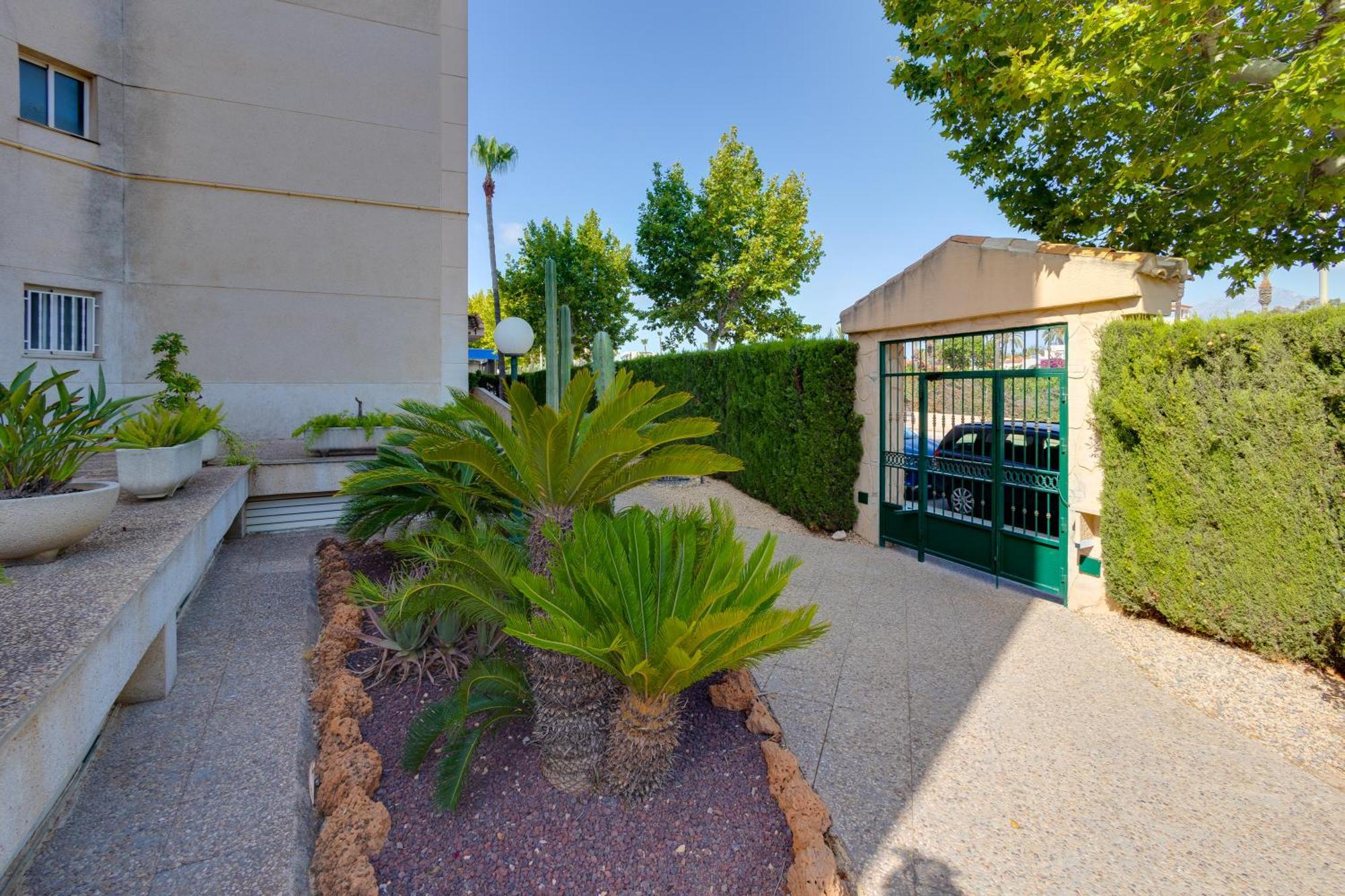 Apartamentos Oasis El Albir Dış mekan fotoğraf