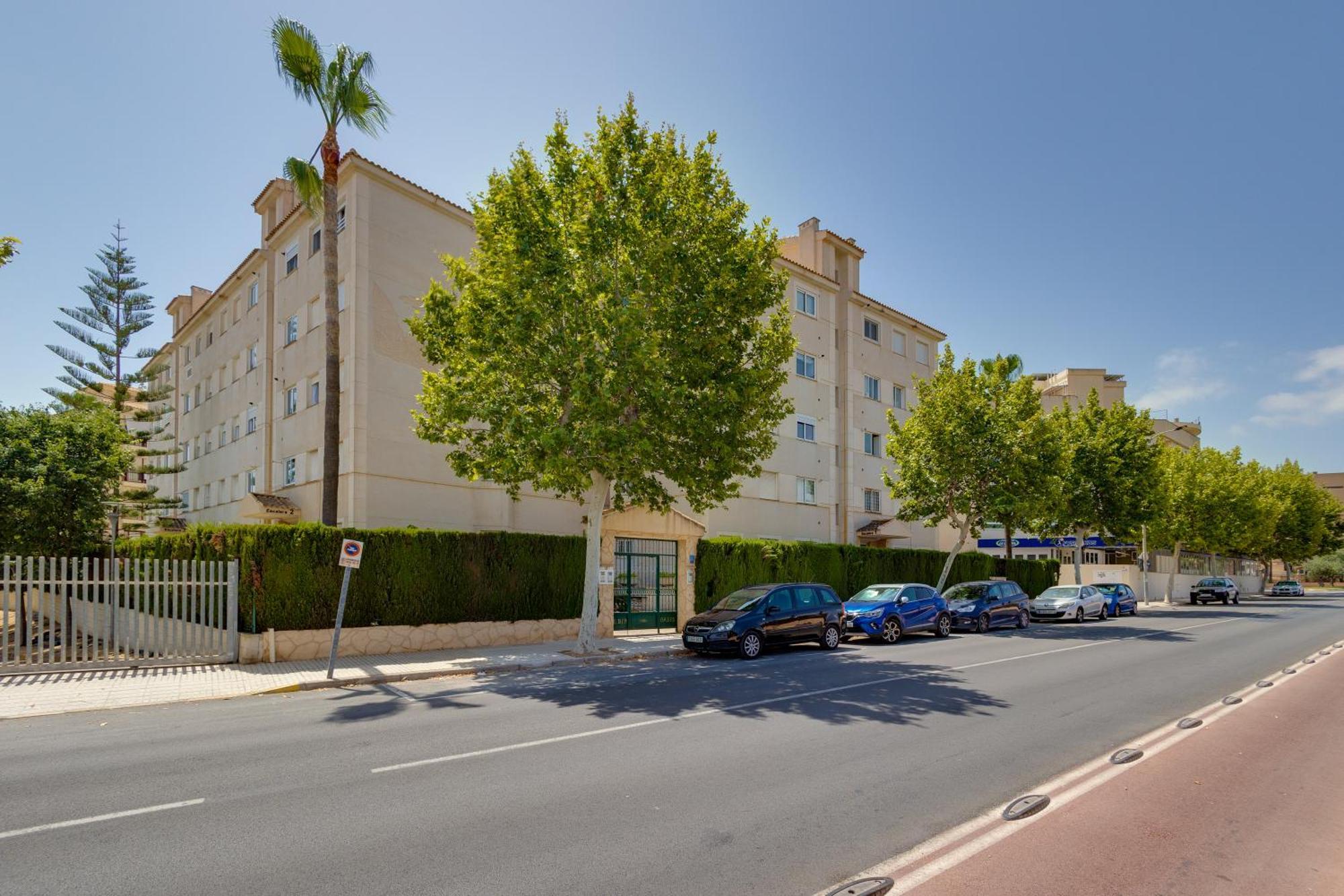 Apartamentos Oasis El Albir Dış mekan fotoğraf