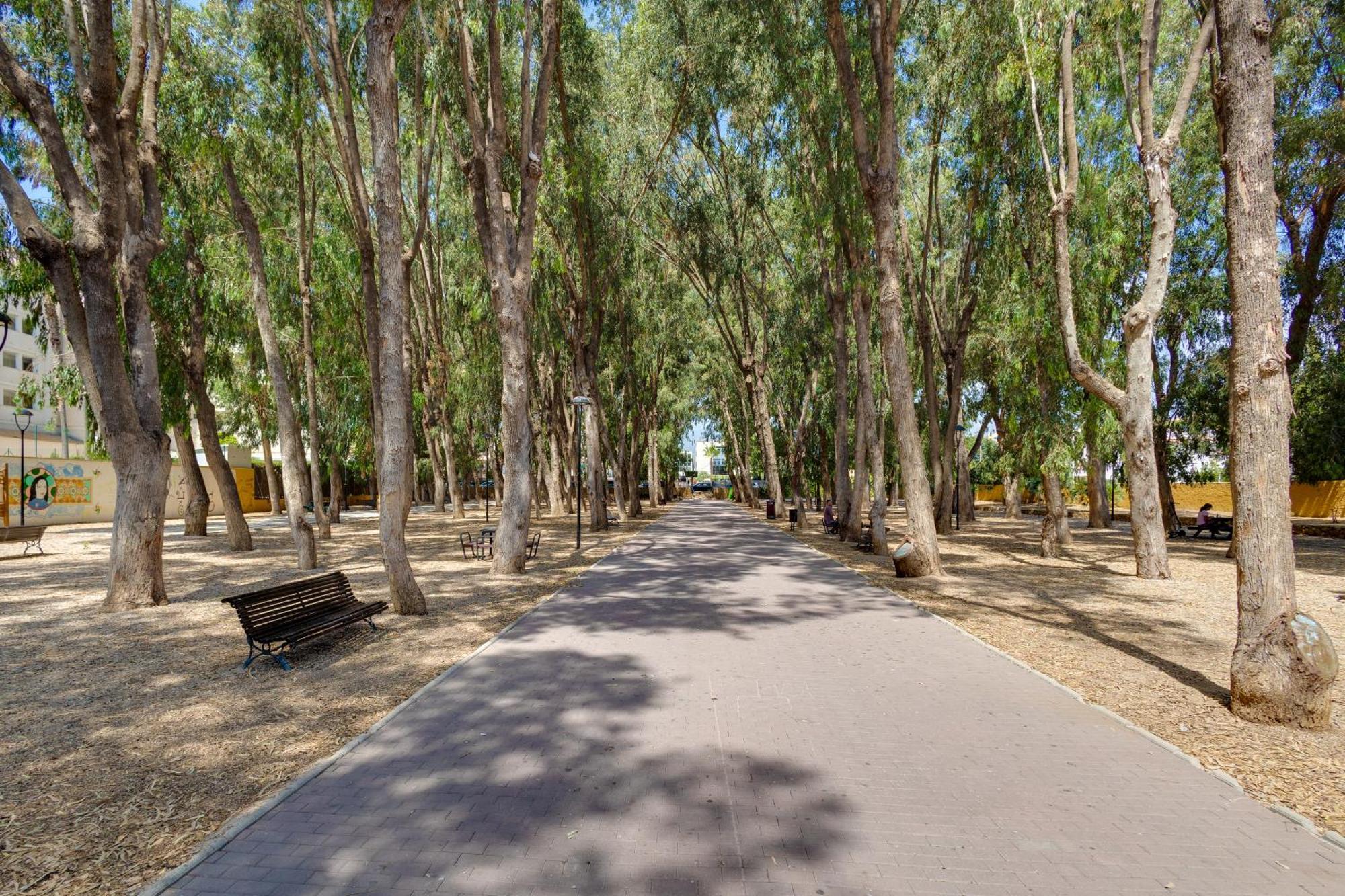Apartamentos Oasis El Albir Dış mekan fotoğraf